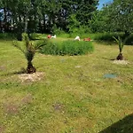 Apartament 02 - Tres Joli 2 Pieces Avec 3 Lits Pouvant Accueillir Jusqu'a 5 Personnes, Situe Au Rdc Avec Entree Independante, Place De Parking Reservee Devant L'entree Et Terrasse Sur L'arriere Donnant Sur Parc Arbore, Le Linge De Maison Est Fourni