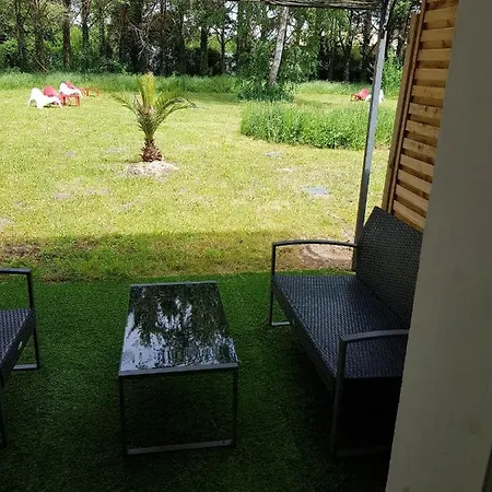 02 - Tres Joli 2 Pieces Avec 3 Lits Pouvant Accueillir Jusqu'a 5 Personnes, Situe Au Rdc Avec Entree Independante, Place De Parking Reservee Devant L'entree Et Terrasse Sur L'arriere Donnant Sur Parc Arbore, Le Linge De Maison Est Fourni * Razac-sur-lʼIsle